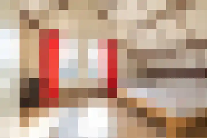 Merelhof 32 Norg thumbnail 5