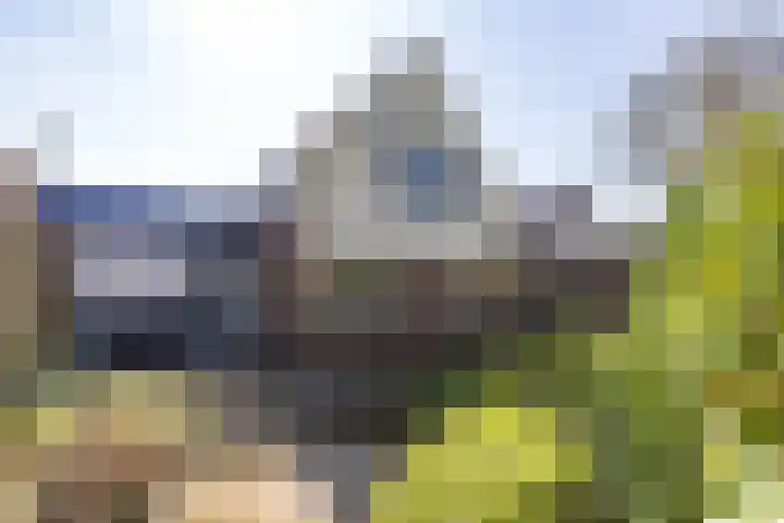 Merelhof 32 Norg thumbnail 50