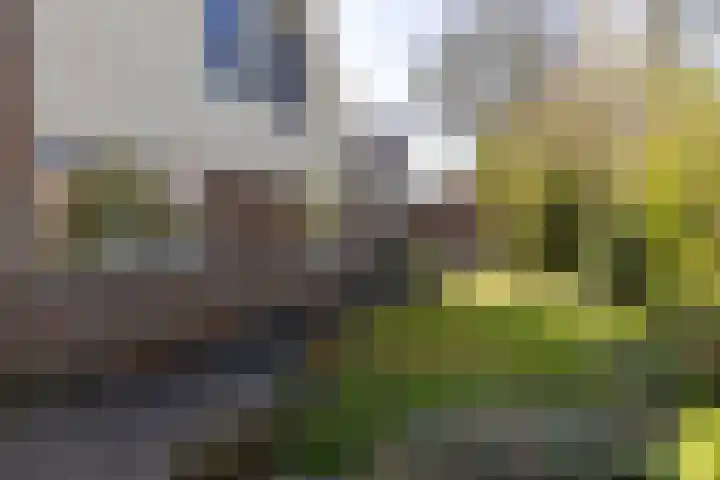 Merelhof 32 Norg thumbnail 52