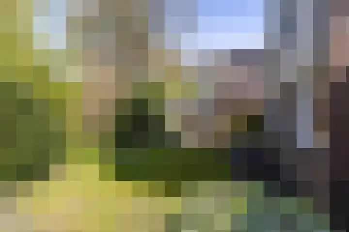 Merelhof 32 Norg thumbnail 53