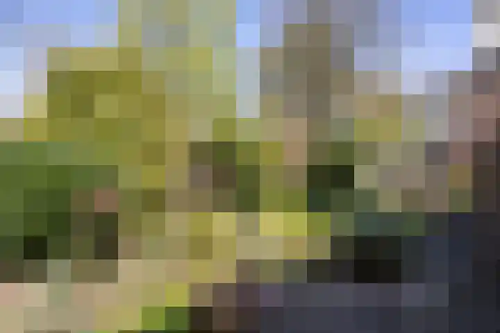 Merelhof 32 Norg thumbnail 54