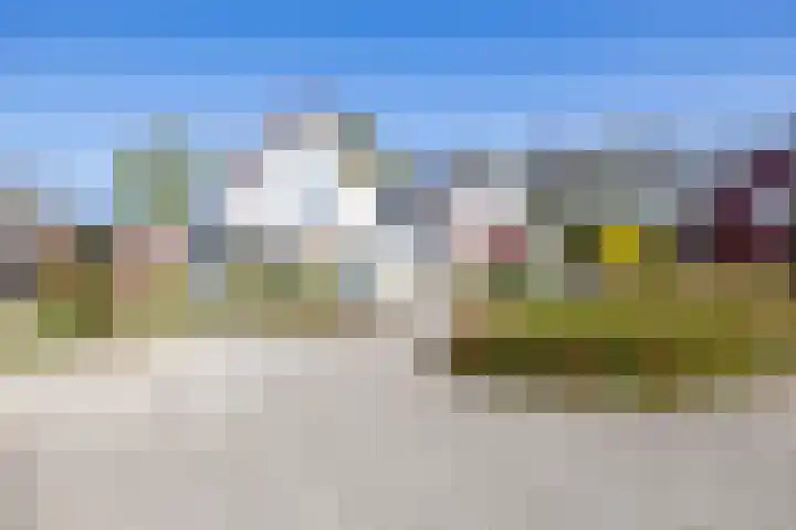 Merelhof 32 Norg thumbnail 7