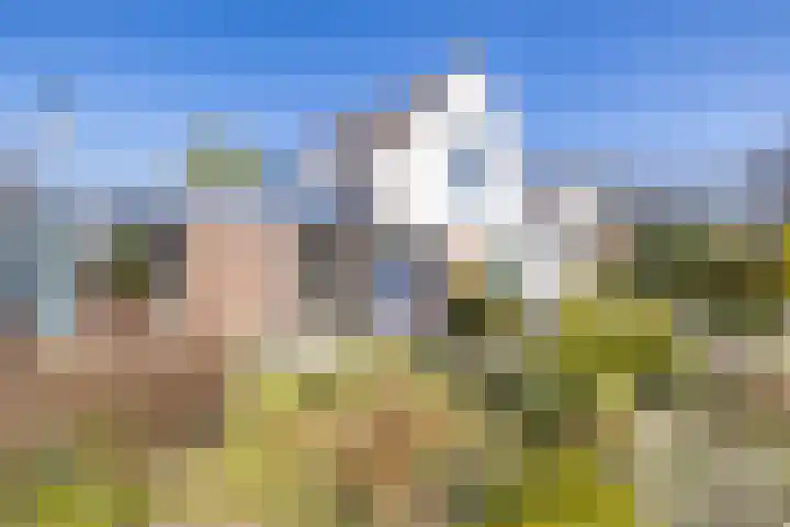 Merelhof 32 Norg thumbnail 9