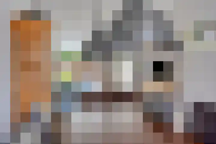 Merelhof 4 Made thumbnail 11