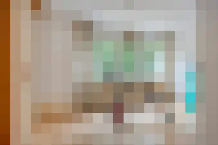 Merelhof 4 Made thumbnail 18