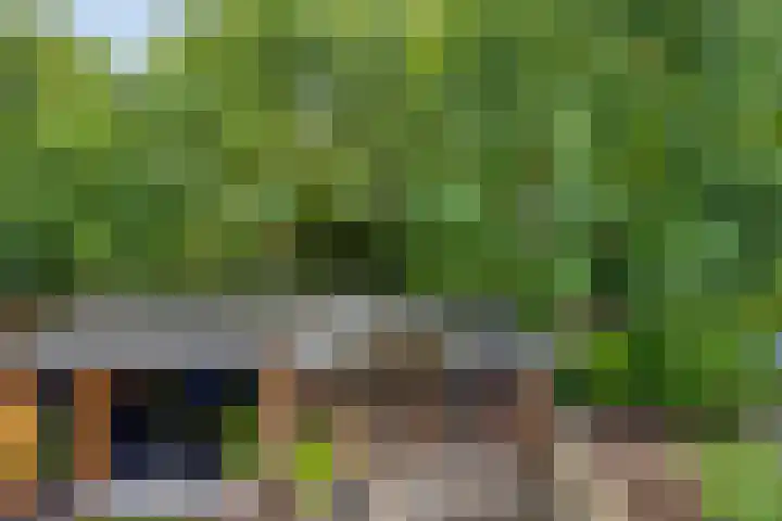 Merelhof 4 Made thumbnail 27