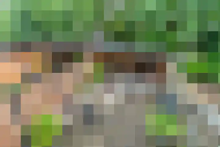 Merelhof 4 Made thumbnail 28