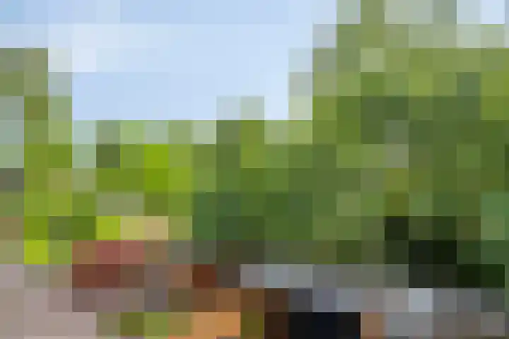 Merelhof 4 Made thumbnail 29