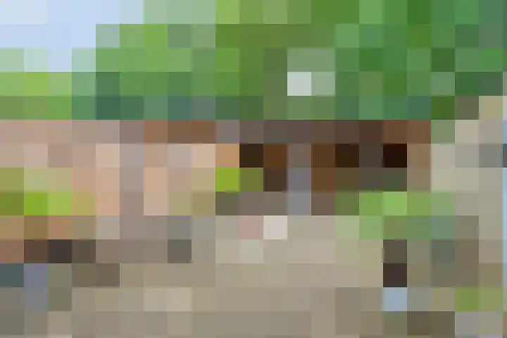 Merelhof 4 Made thumbnail 31