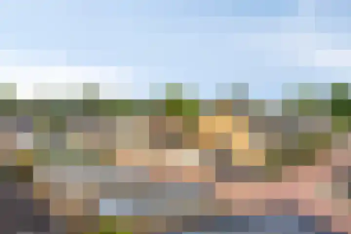 Merelhof 4 Made thumbnail 33