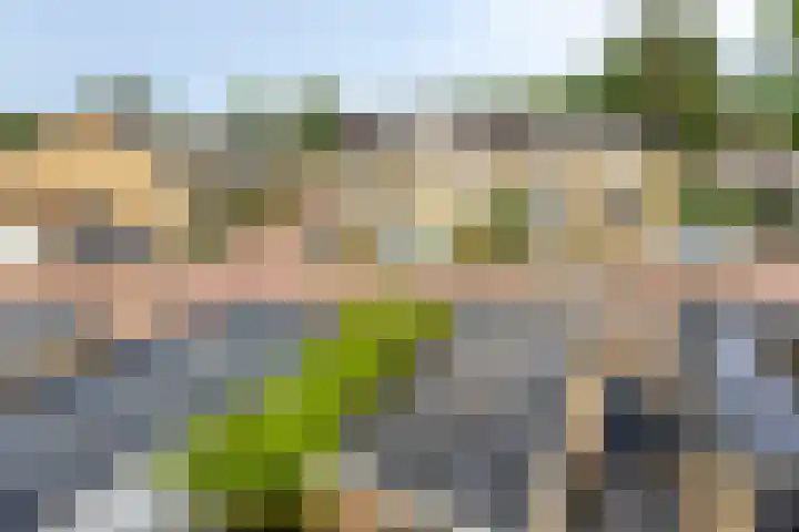 Merelhof 4 Made thumbnail 34