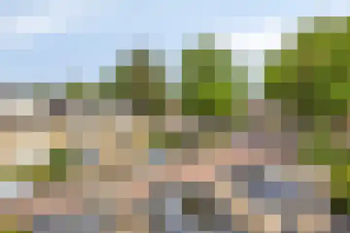Merelhof 4 Made thumbnail 35