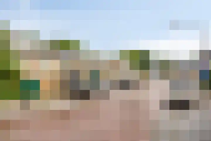 Merelhof 4 Made thumbnail 36