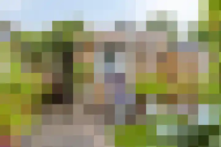 Merelhof 4 Made thumbnail 37