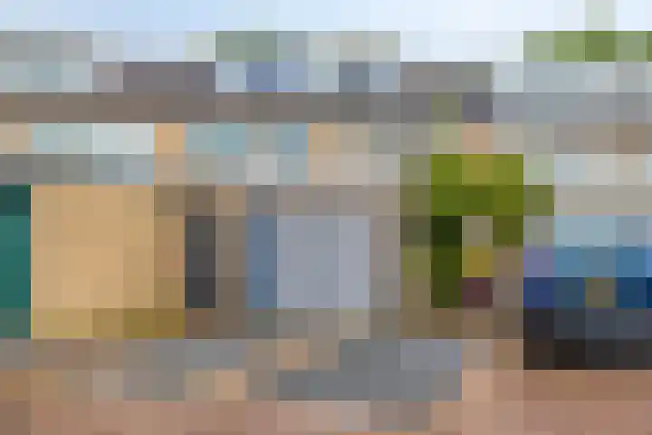 Merelhof 4 Made thumbnail 38