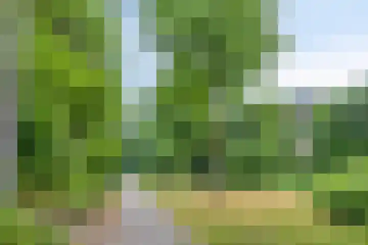 Merelhof 4 Made thumbnail 41