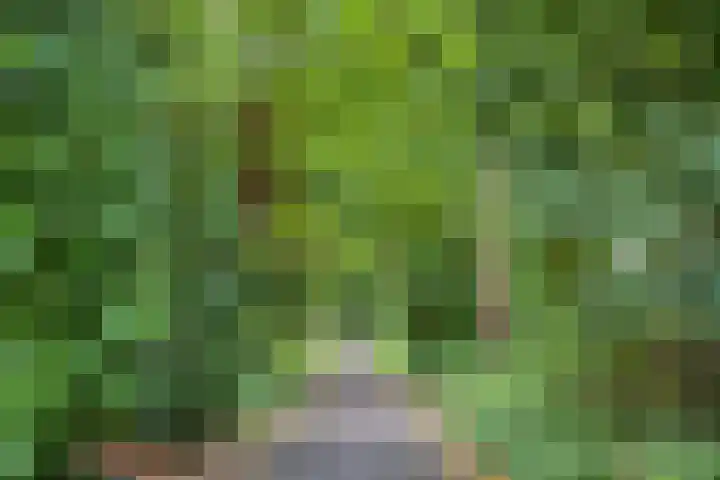 Merelhof 4 Made thumbnail 42