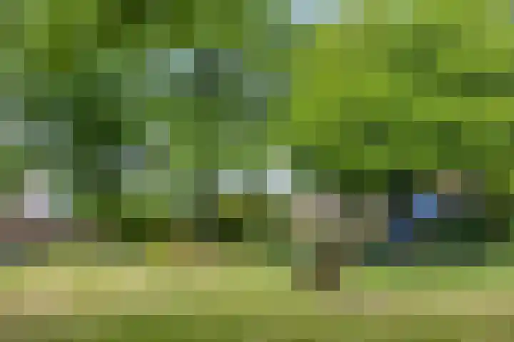 Merelhof 4 Made thumbnail 43