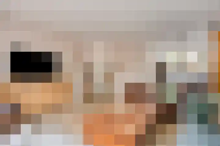 Merelhof 4 Made thumbnail 5