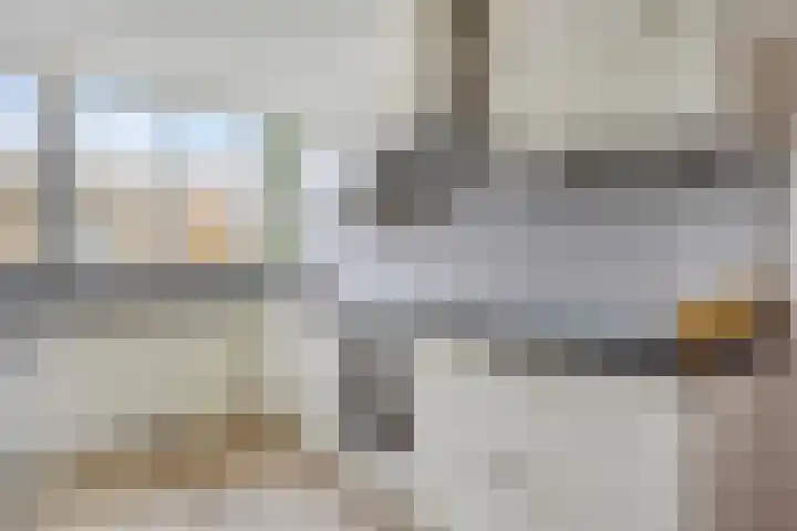 Merelhof 4 Made thumbnail 8