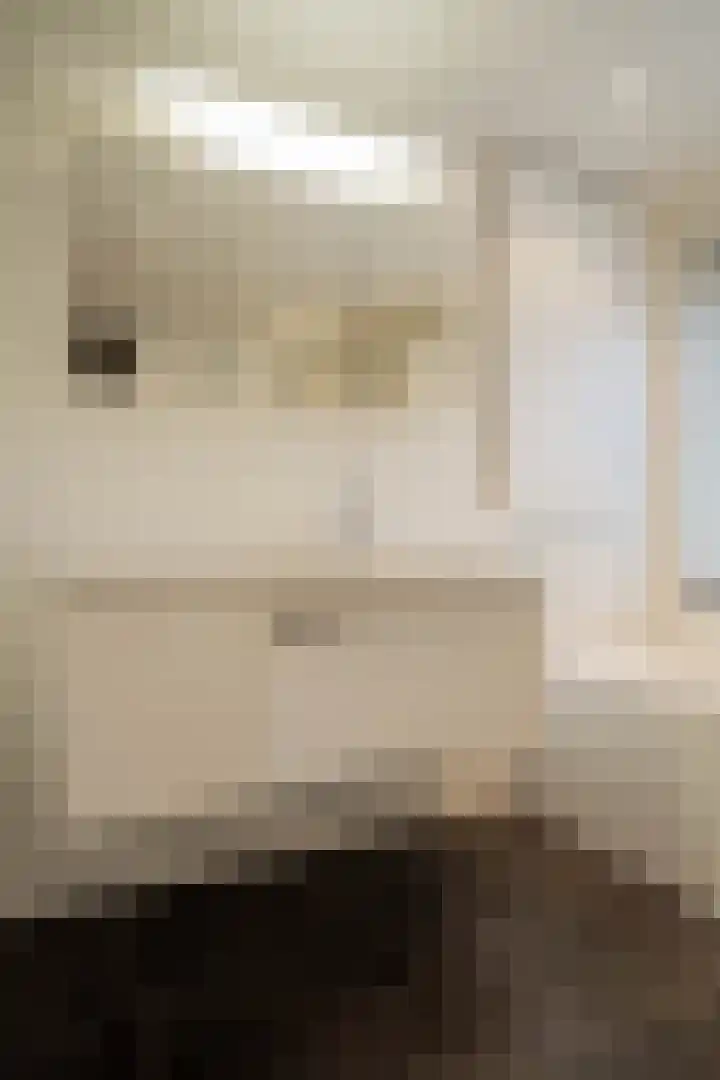 Merellaan 12 Boekel thumbnail 34