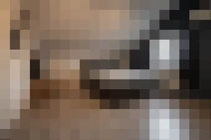 Merellaan 12 Boekel thumbnail 41