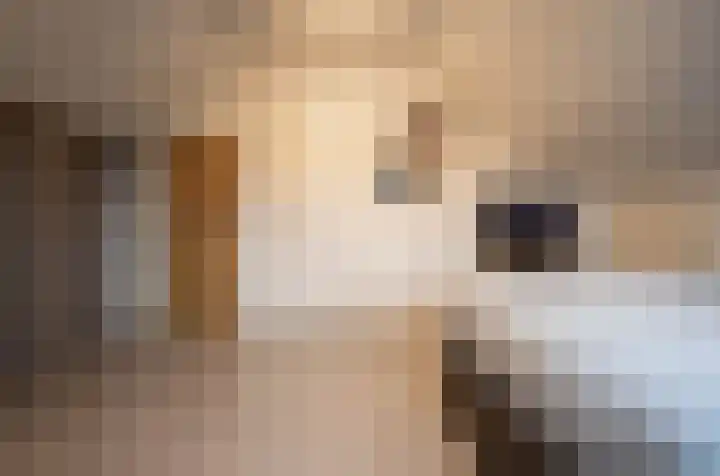 Merellaan 12 Boekel thumbnail 42