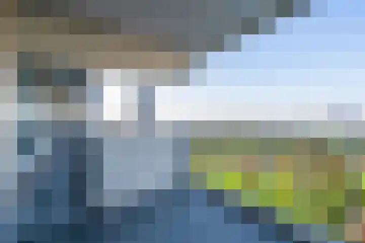 Merellaan 201 Maassluis thumbnail 5