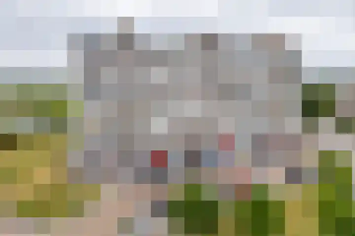 Merellaan 23 Maassluis thumbnail 10