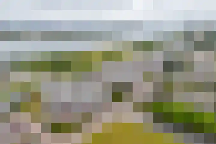 Merellaan 23 Maassluis thumbnail 13