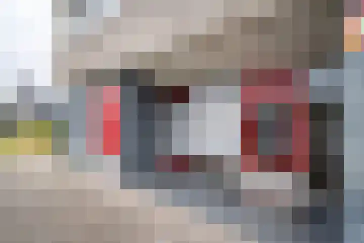 Merellaan 23 Maassluis thumbnail 17