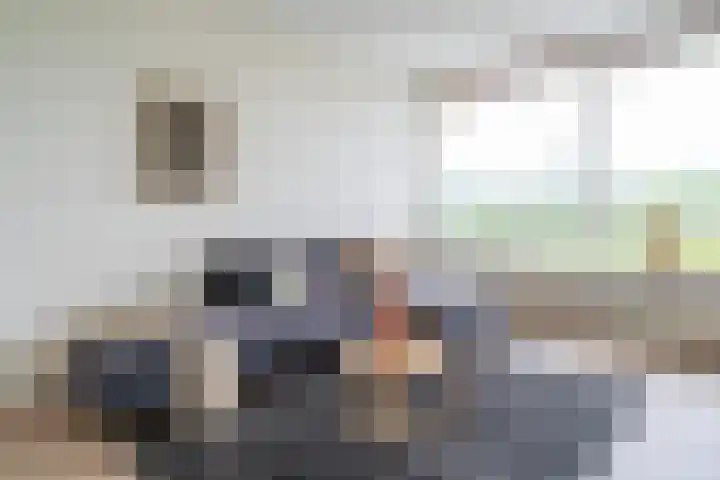 Merellaan 23 Maassluis thumbnail 28