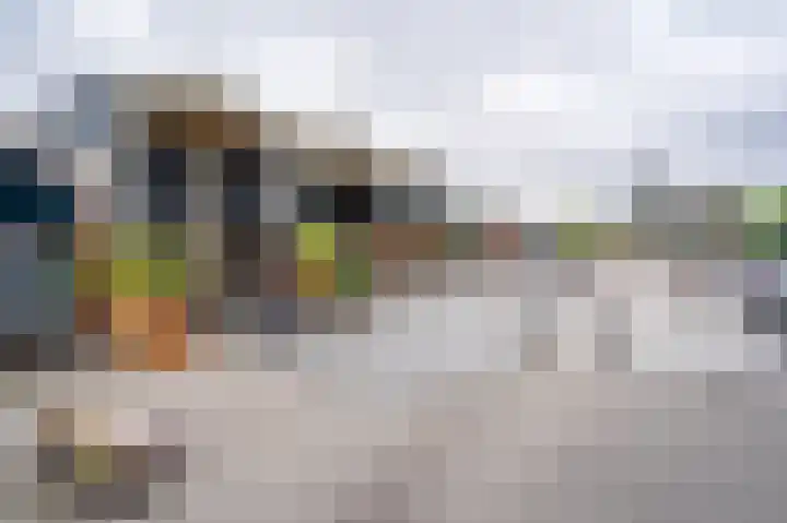 Merellaan 23 Maassluis thumbnail 47