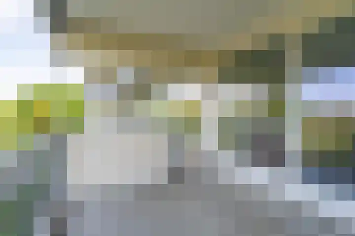 Merellaan 245 Maassluis thumbnail 22