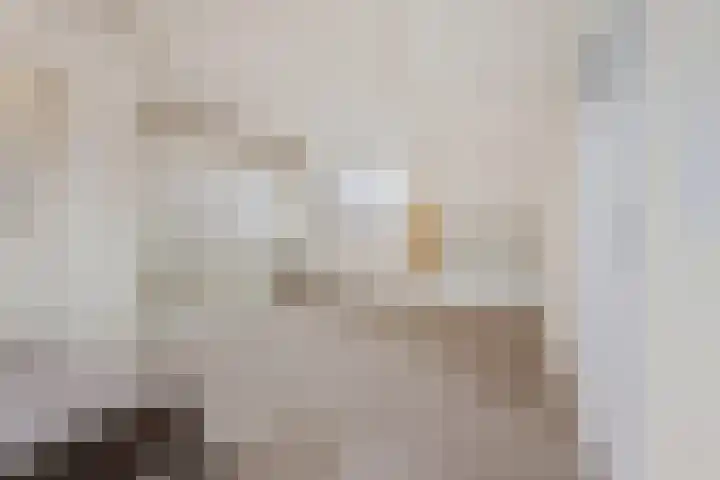 Merellaan 44 Maartensdijk thumbnail 31