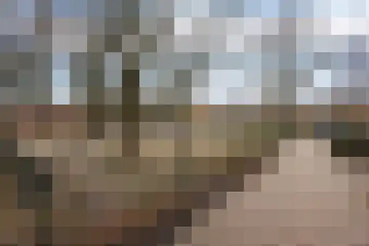 Merellaan 44 Maartensdijk thumbnail 33