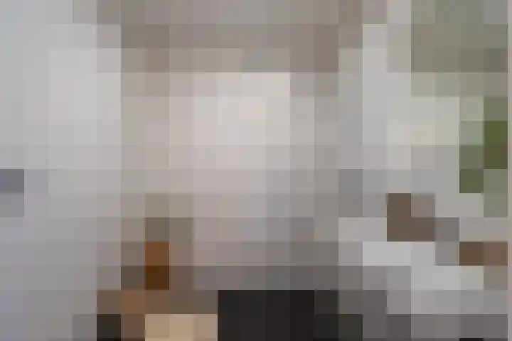 Merellaan 535 Maassluis thumbnail 33