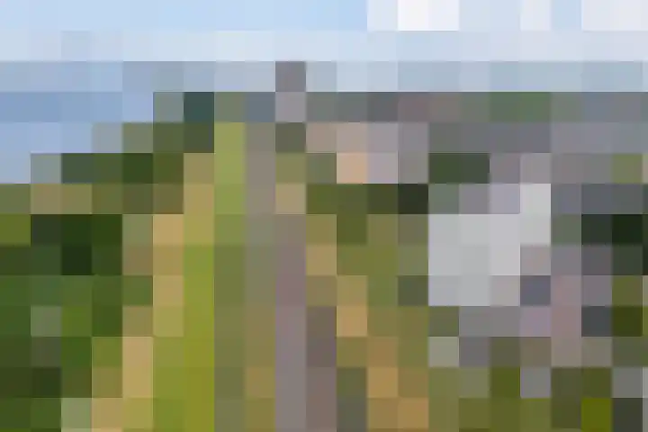 Merellaan 587 Maassluis thumbnail 6