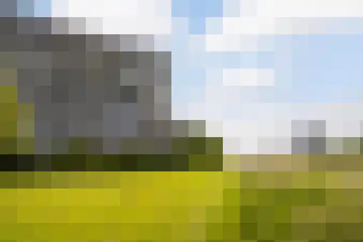 Merellaan 665 Maassluis thumbnail 31