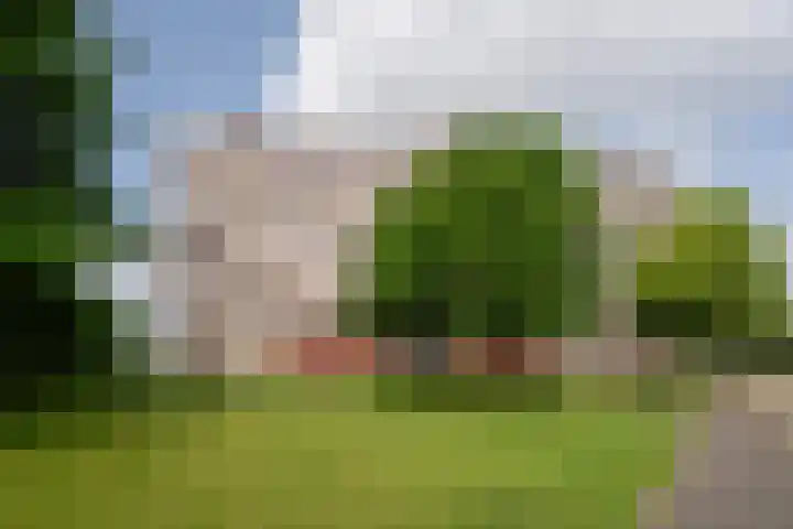 Merellaan 665 Maassluis thumbnail 4