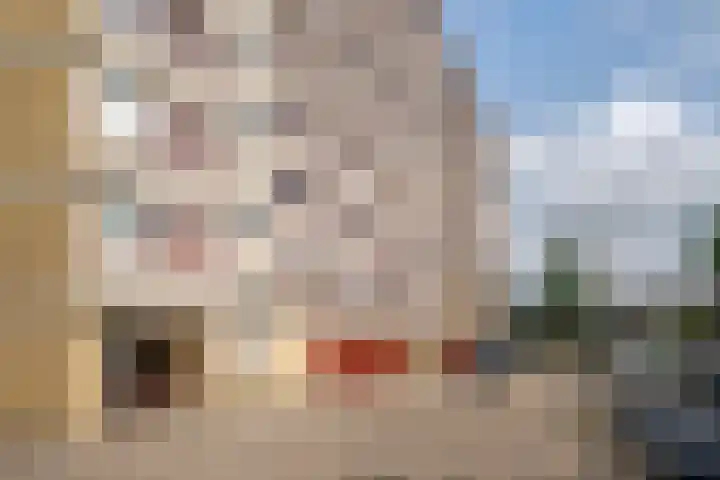 Merellaan 665 Maassluis thumbnail 5