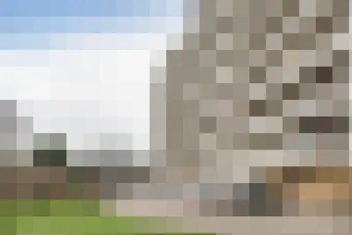 Merellaan 709 Maassluis thumbnail 26