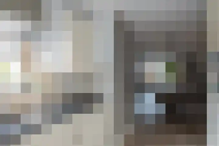 Merelplantsoen 17 Groot-Ammers thumbnail 13