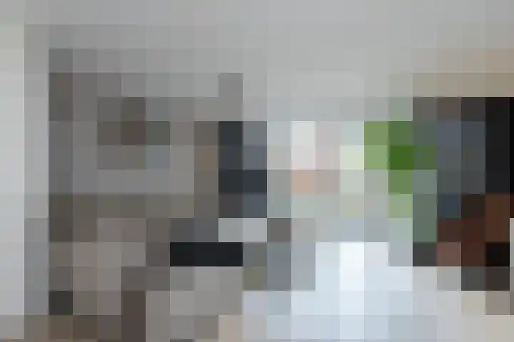 Merelplantsoen 17 Groot-Ammers foto 2