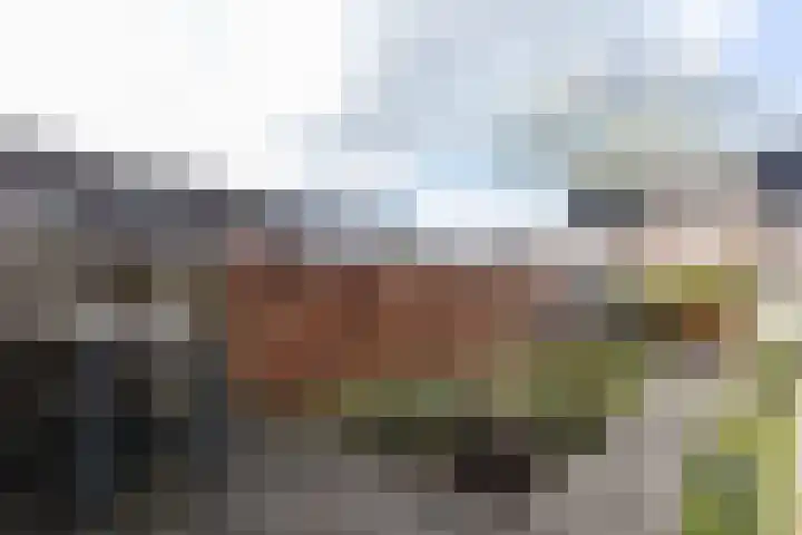 Merelplantsoen 17 Groot-Ammers thumbnail 21