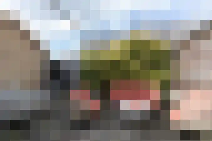Merelplantsoen 17 Groot-Ammers thumbnail 23