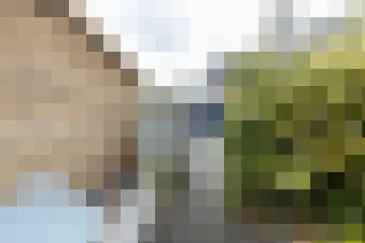 Merelplantsoen 17 Groot-Ammers thumbnail 24