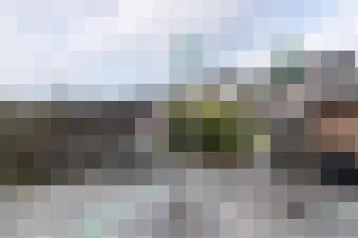Merelplantsoen 17 Groot-Ammers thumbnail 25
