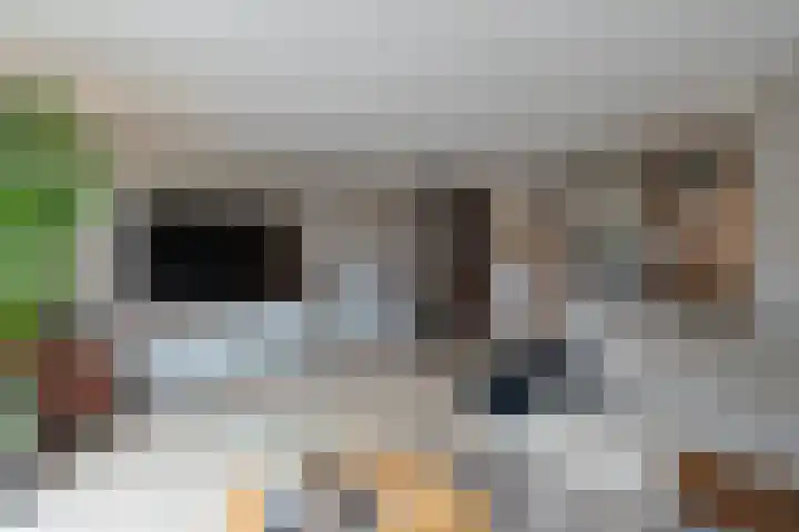 Merelplantsoen 17 Groot-Ammers thumbnail 9
