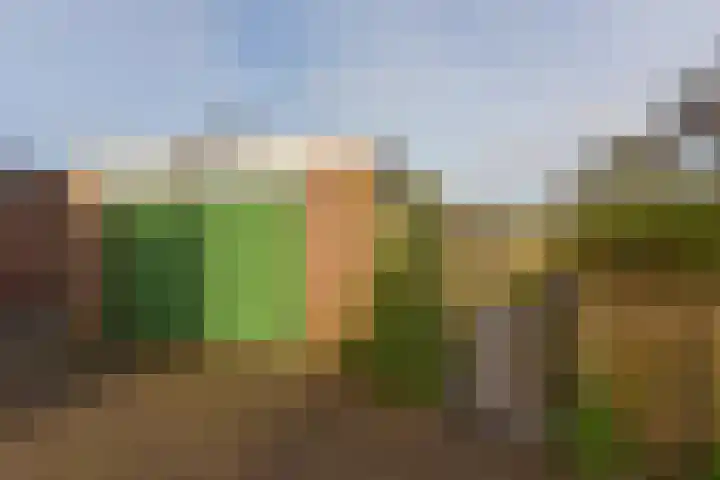 Merelslag 12 de Hoef thumbnail 25